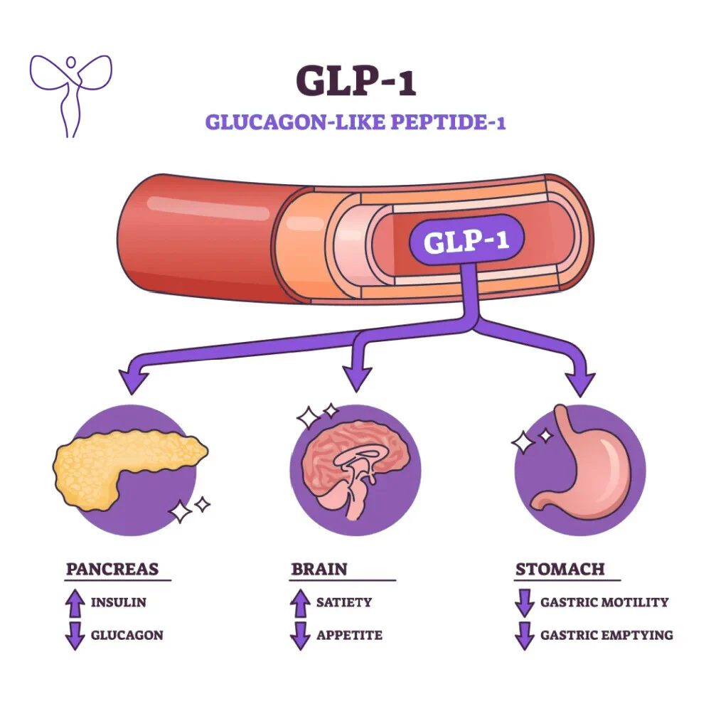 GLP-1: действие върху панкреаса, мозъка и стомаха