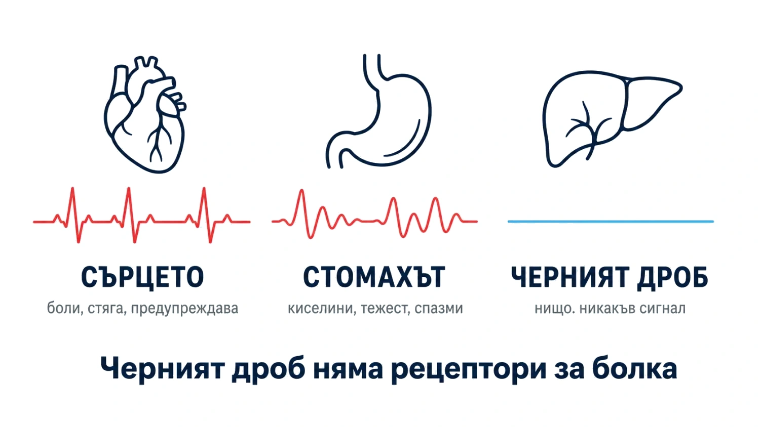 Сърцето и стомахът дават сигнал, черният дроб — не